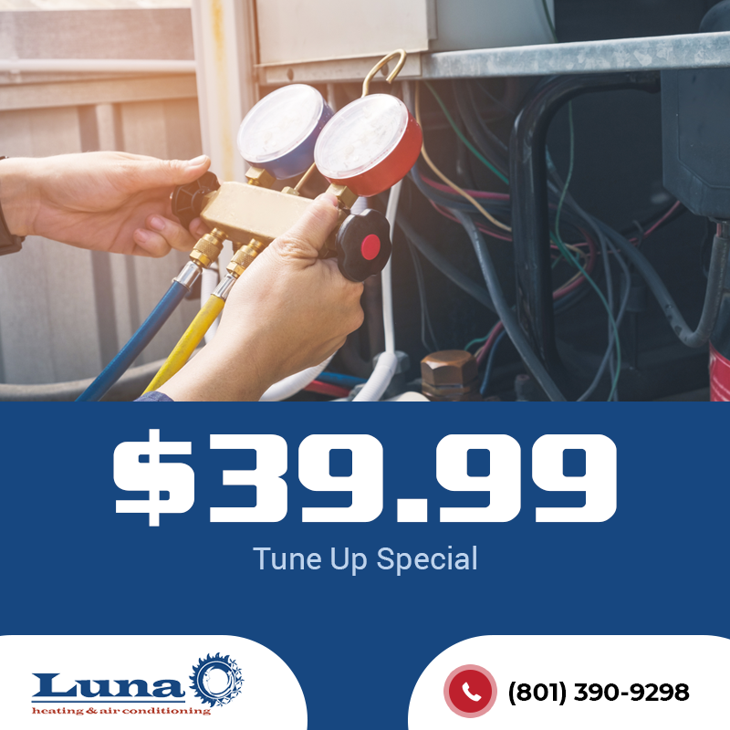 $39.99 Tune -up special