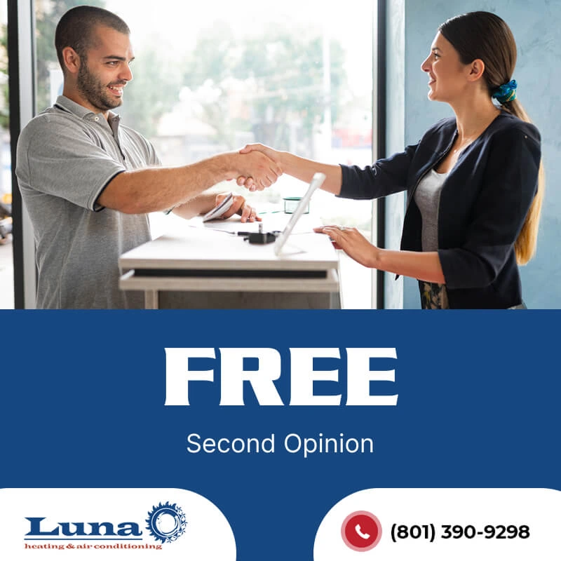 free second opinion img